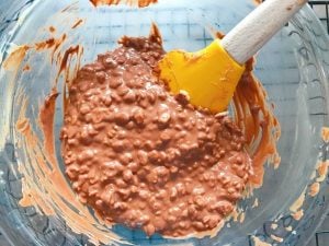 Mix together the chocolate, peanut butter, and Rice Krispies mixture.