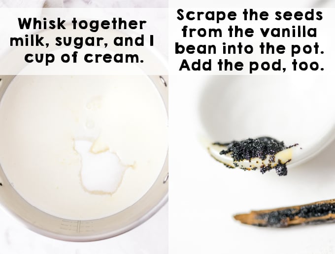 Add the cream, milk, sugar, and vanilla bean to a pot. 