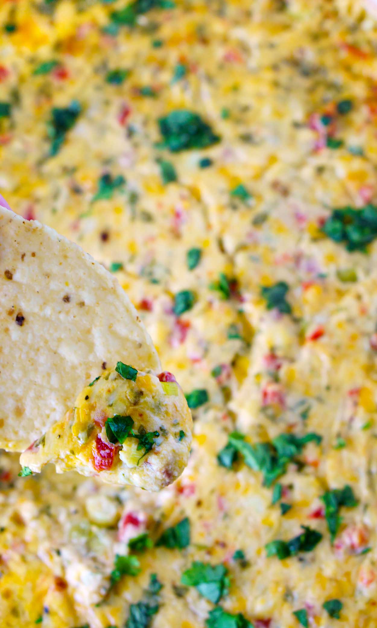 Best-ever Hot Pimento Cheese Dip with Tex-Mex flavors.