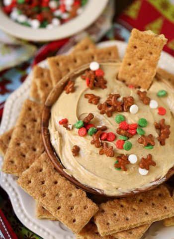 Side shot of gingerbread cheesecake dip in a bowl surrounded by graham crackers.