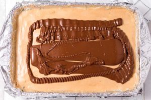 Pour the chocolate over the peanut butter layer and smooth into an even layer. Chill for 1 hour.