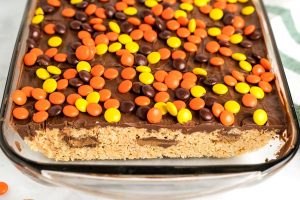 Spread the melted chocolate on top and top with Reese's pieces. Let set for 1 hour.