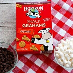 Ingredients needed for easy S'mores Snack Mix