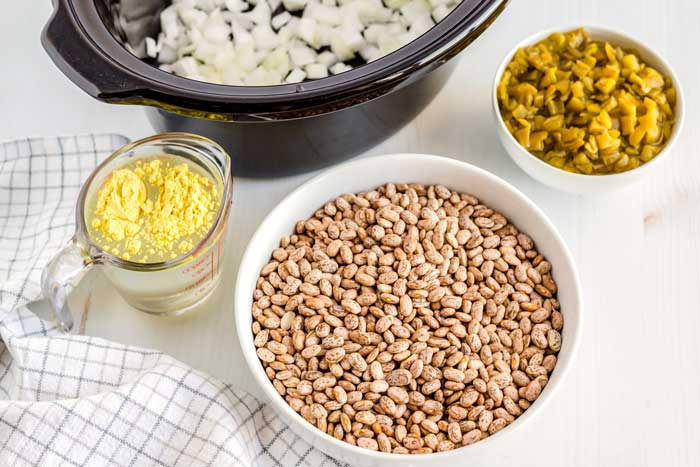 All of the ingredients that you need to make crockpot pinto beans.