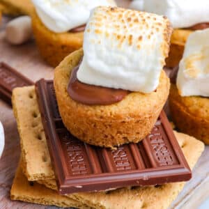 A close-up picture of one of the smores bites.