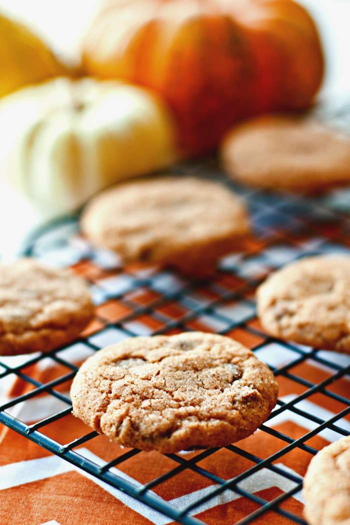 Close up picture of pumpkin cookies. 