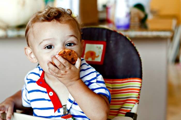 Cute 1 year old eating pumpkin pudding cookie. 