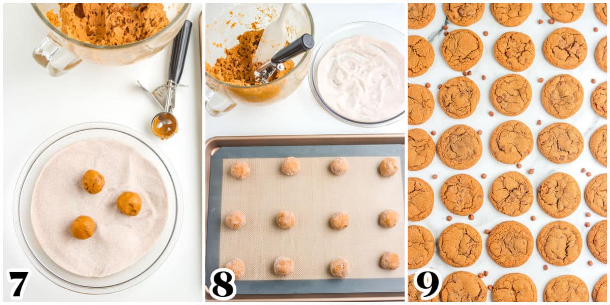 The dough rolled into the sugar mixture and placed on a baking sheet and baked.