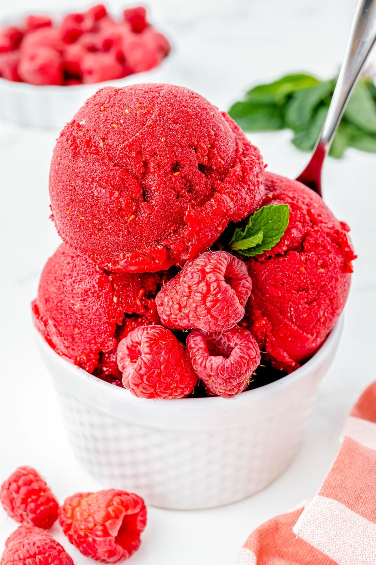 Raspberry Sorbet in a white dish garnished with fresh raspberries and mint. 