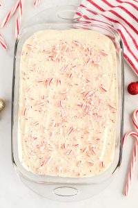 Sprinkle the candy cane pieces over the melted chocolate.