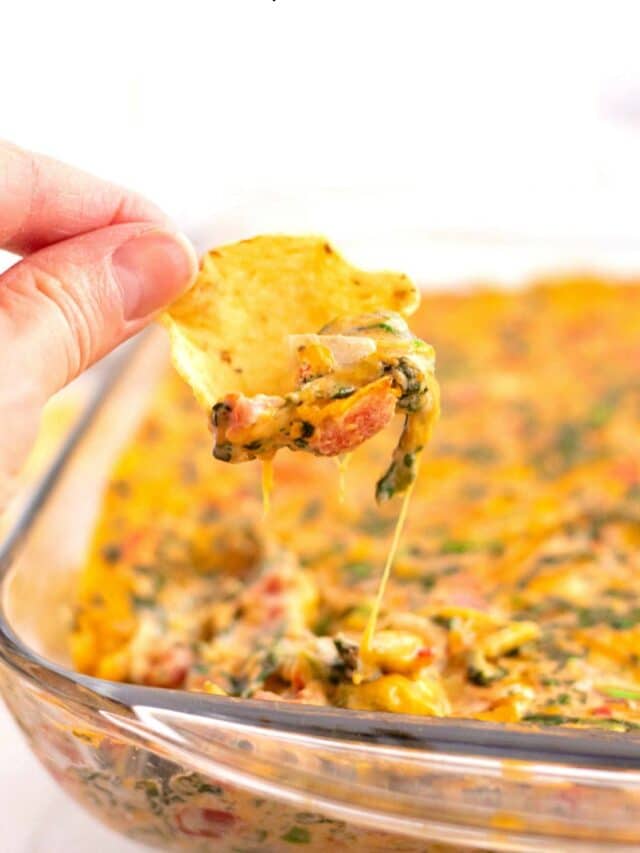 Mexican Spinach Dip Story