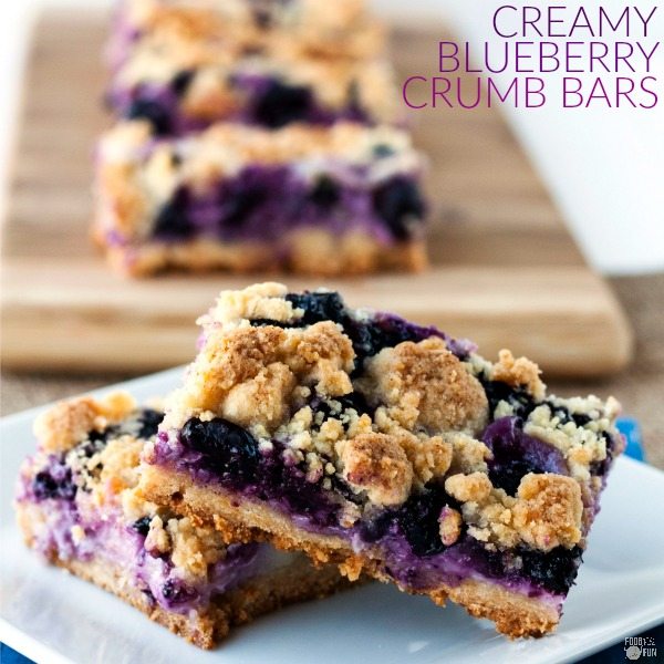 A closeup image of blueberry bars on a plate. 