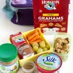Ingredients needed for easy and healthy lunch boxes