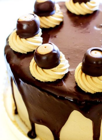 A close-up of Buckeye Brownie Cheesecake