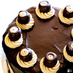 A top view of Buckeye Brownie Cheesecake Cake with two layers of fudgy brownies