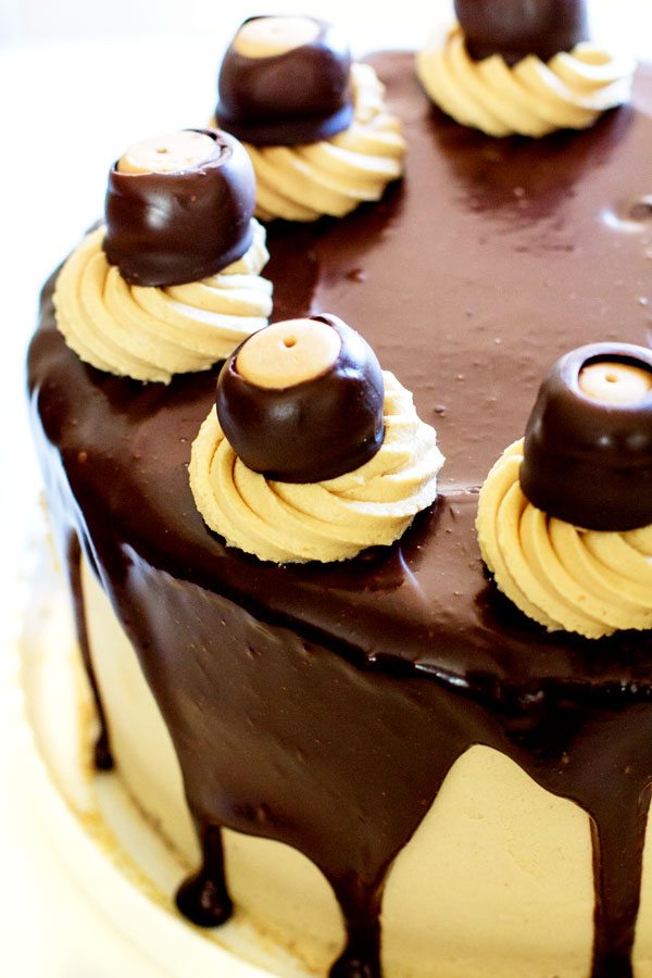 A close-up of Buckeye Brownie Cheesecake