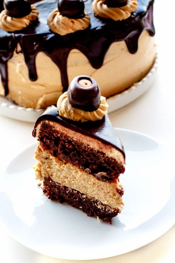 A slice of Buckeye Brownie Cheesecake Cake on a plate