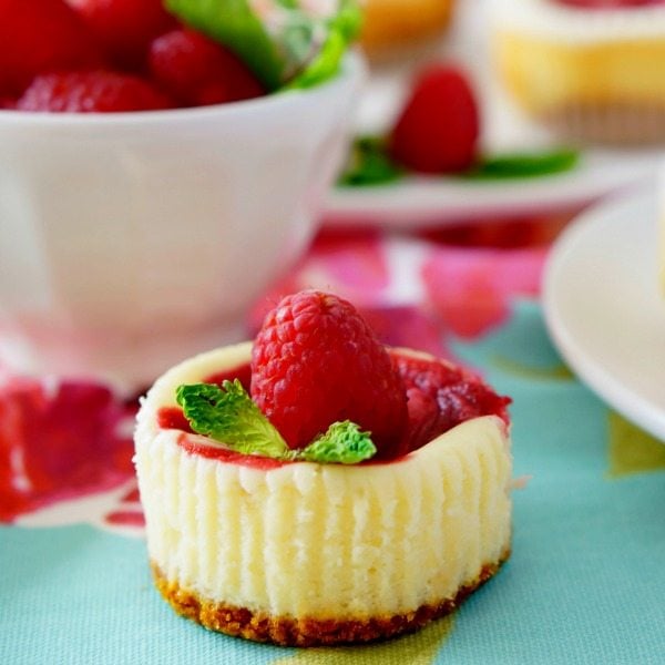 A close up of a piece of Raspberry Swirl Cheesecake Cupcake