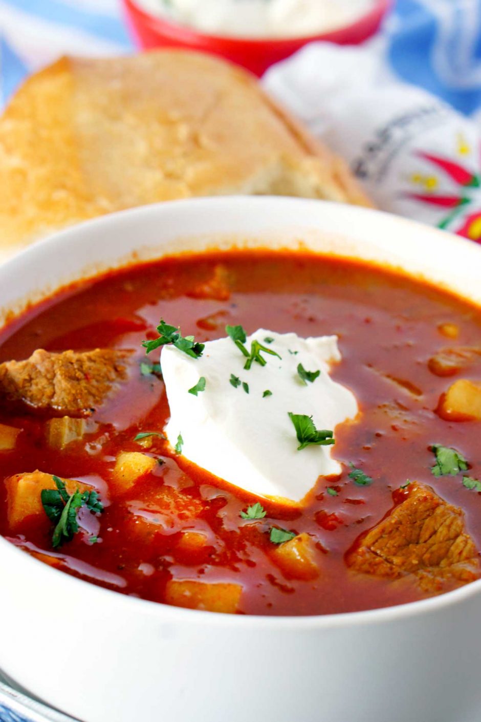Close up picture of Hungarian Goulash