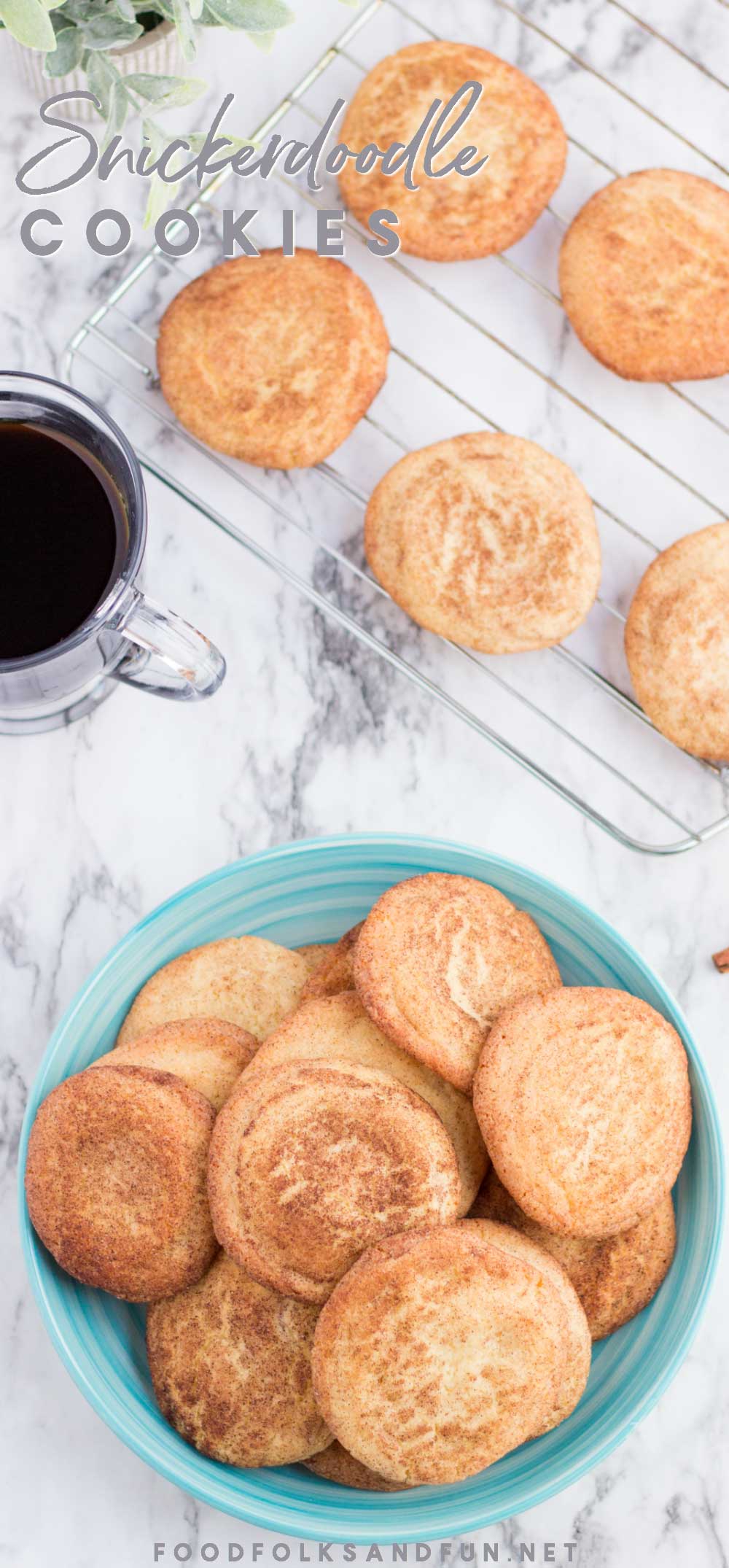 Snickerdoodle cookies on a plate and a wire rack