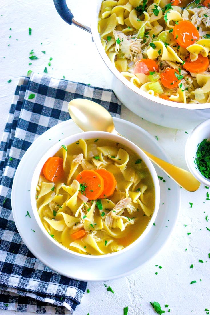 Rotisserie Chicken Noodle Soup • Food Folks and Fun