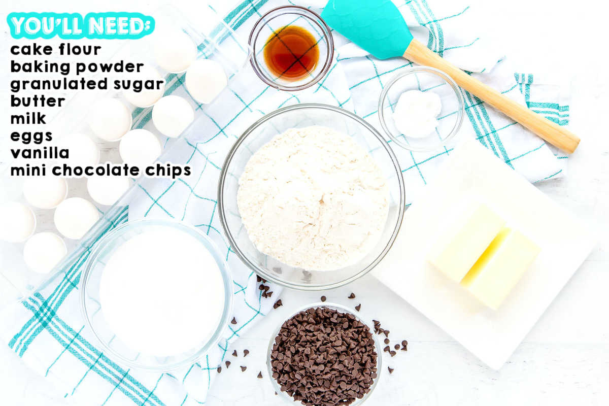 An overhead picture of all of the ingredients needed to make this Chocolate Chip Bundt Cake recipe.