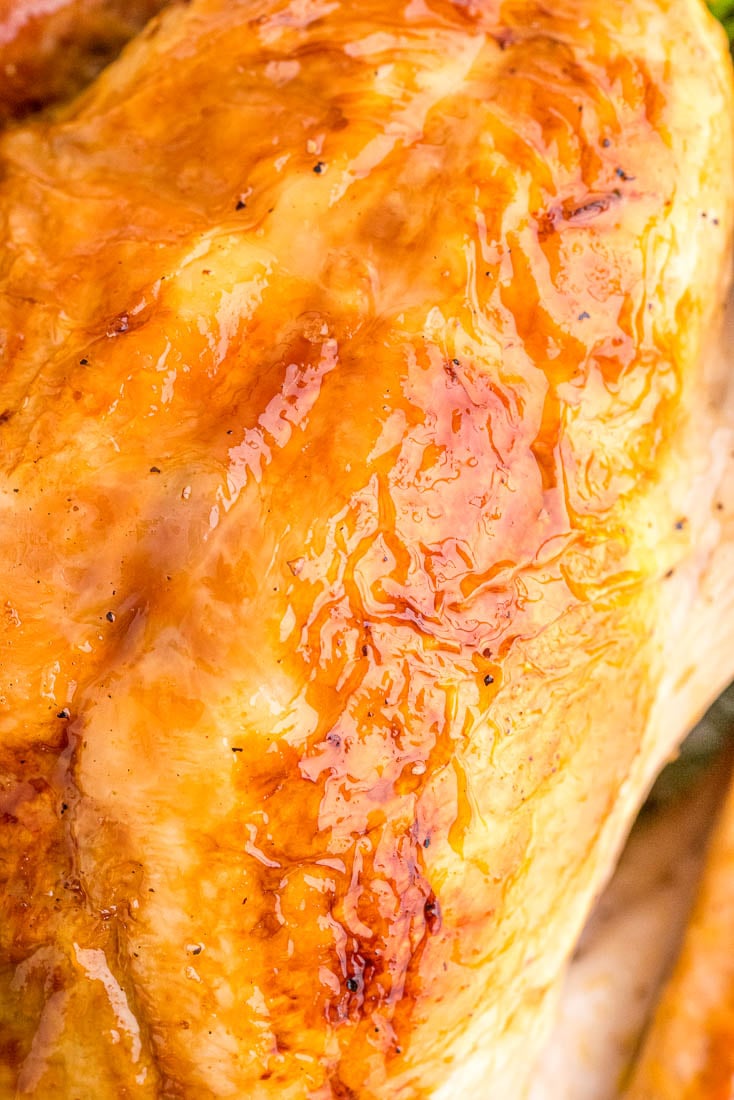 A close up picture of the golden brown skin of Oven Roasted Turkey.