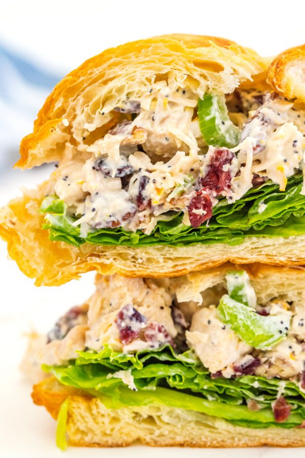 Two cranberry chicken salad sandwiches stacked on top of each other.