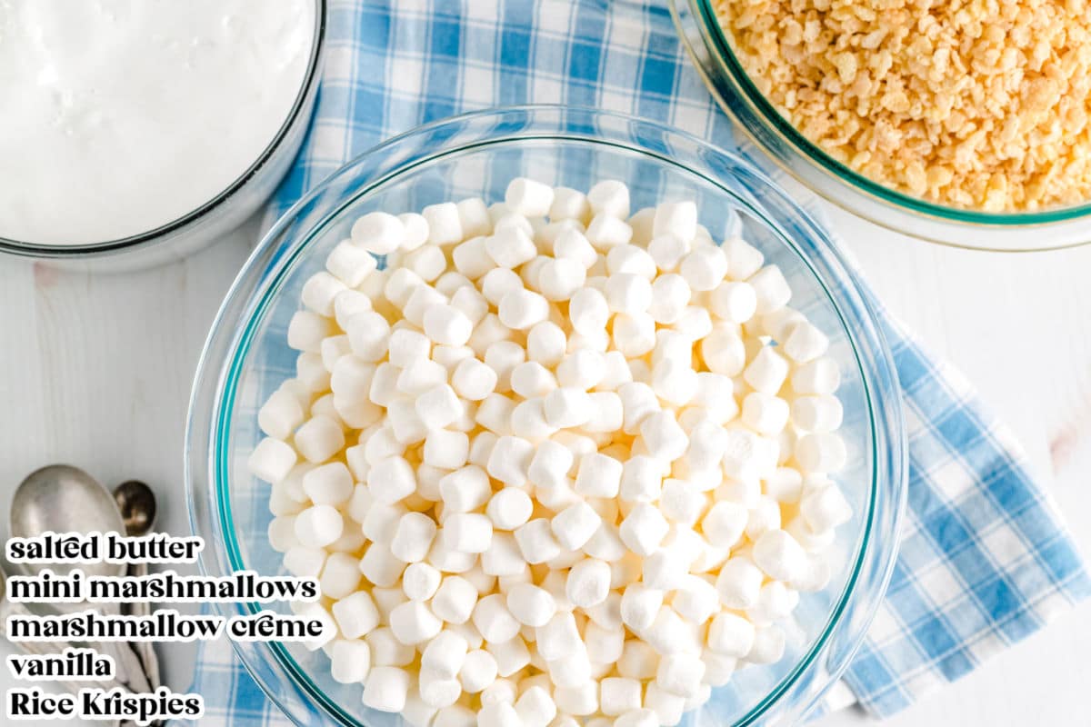 The ingredients needed to make this recipe with text overlay.