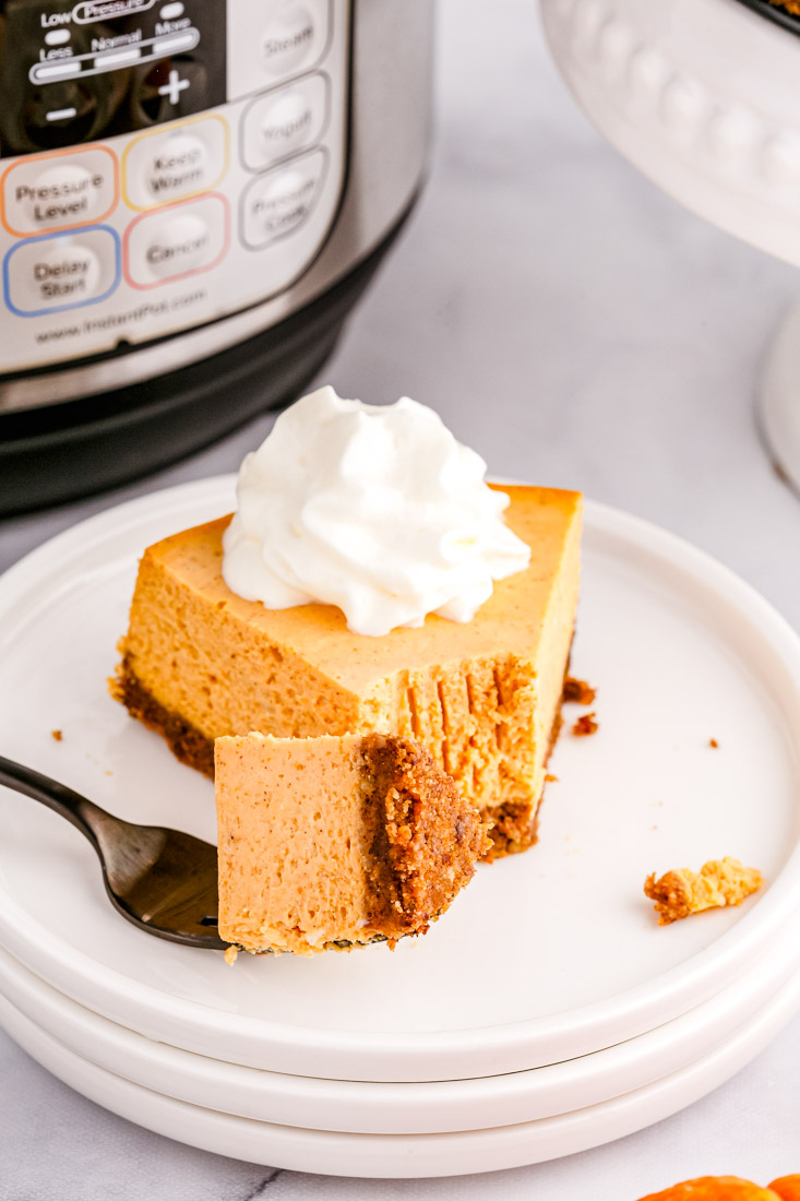 A slice of pumpkin cheesecake on a white plate topped with whipped cream.