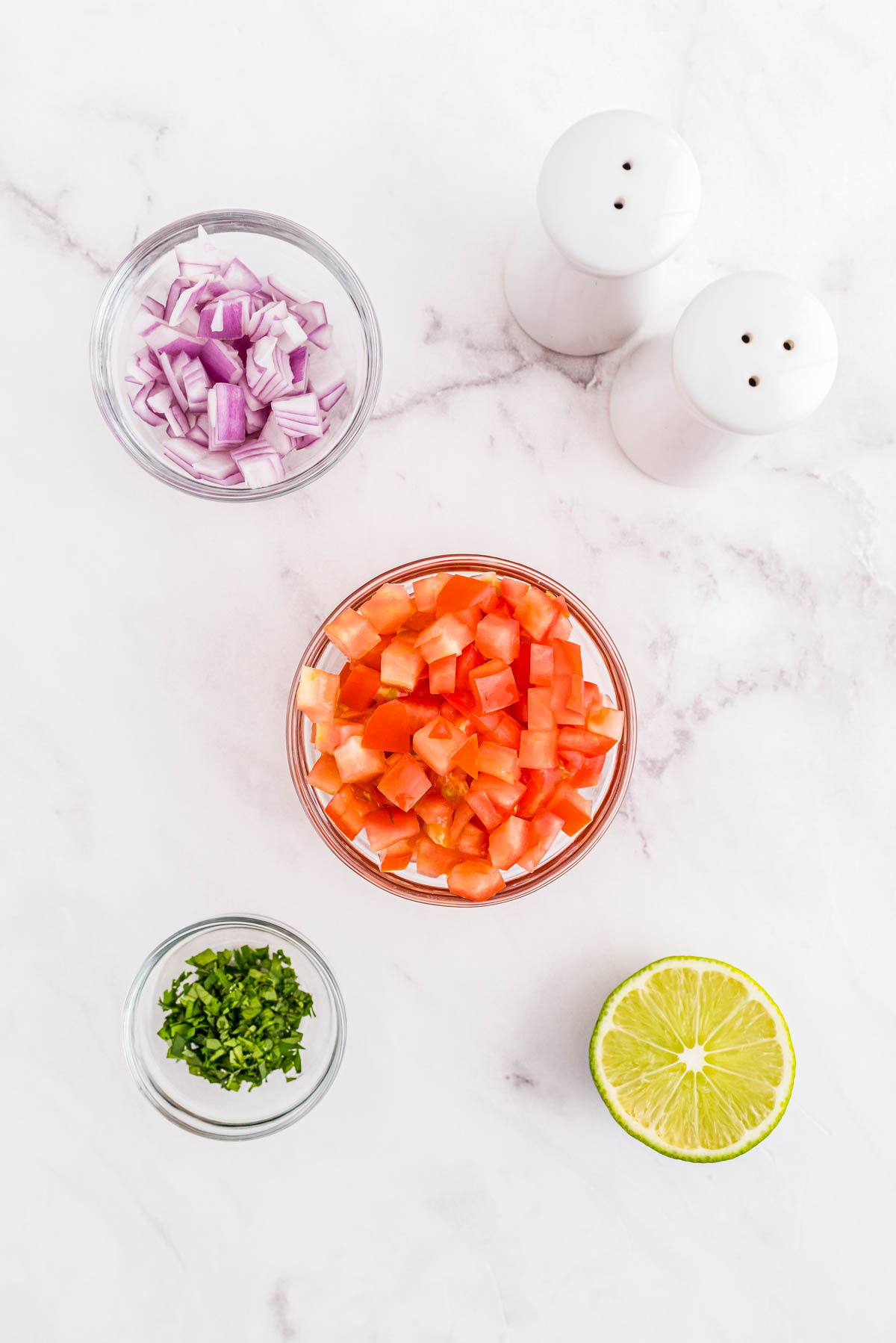 All of the ingredients needed to make this Pico De Gallo recipe.