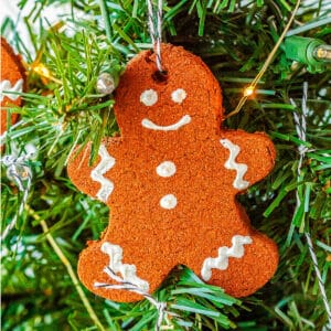 A cinnamon gingerbread man ornament on a Christmas tree branch.