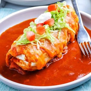 A close up picture of a Wet Burrito on a white plate.