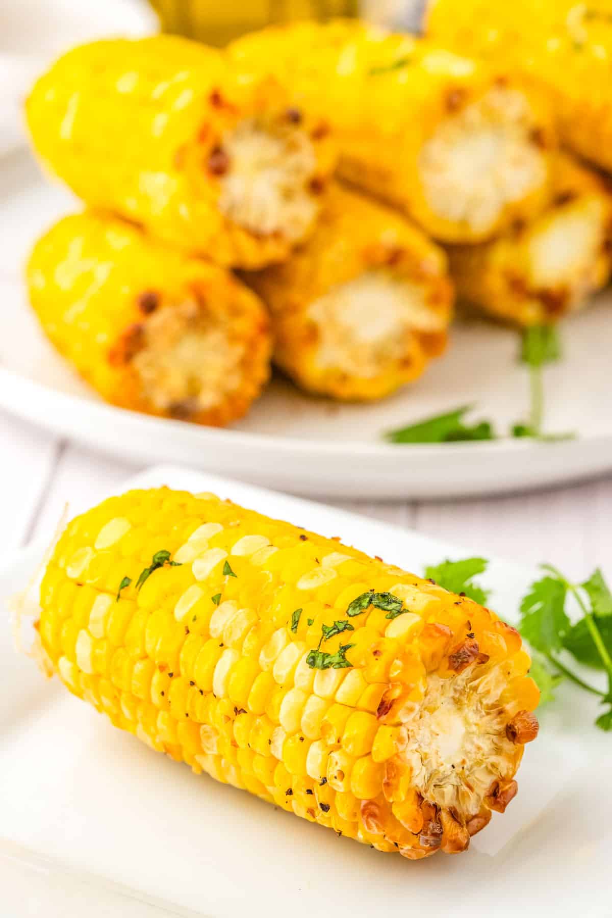 An air fryer corn on the cob on a white plate.