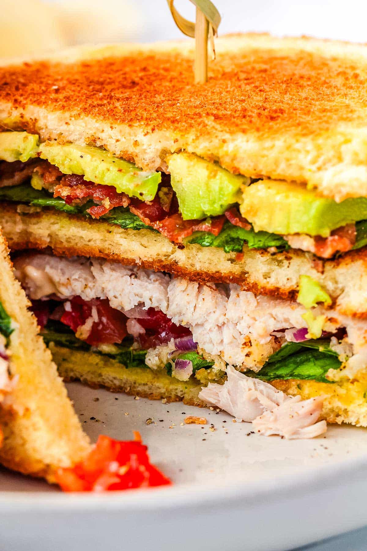 A close up picture of the different layers of this sandwich.