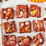 The Easter brownies cut into nine squares.