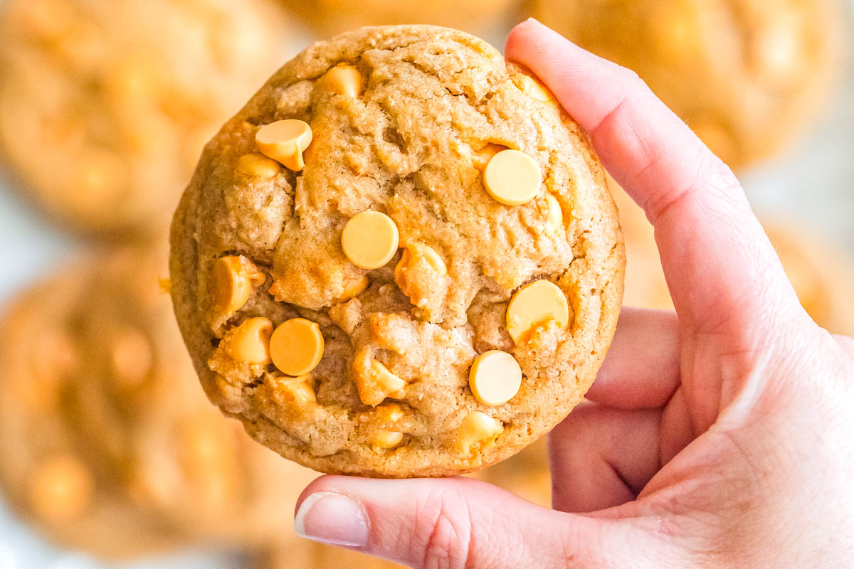 Hand holding a freshly baked butterscotch cookie showing its golden color and scattered butterscotch chips.