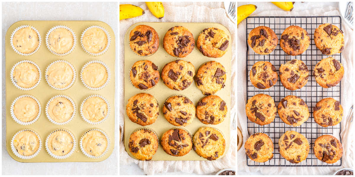 Step by step collage of chocolate chunk banana muffins from filled muffin tin to baked golden tops.
